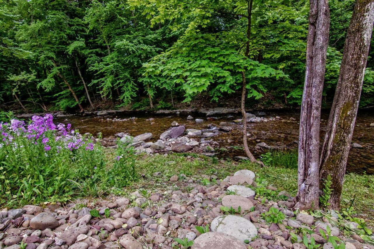 Cabin By The Creek With Private Creek Access Таннерсвилл Экстерьер фото